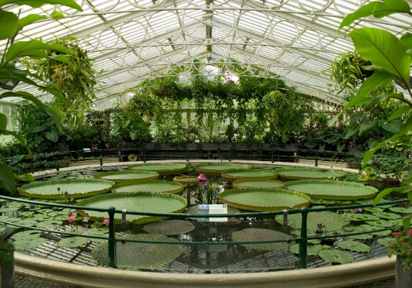 Kew Gardens & Kew Palace